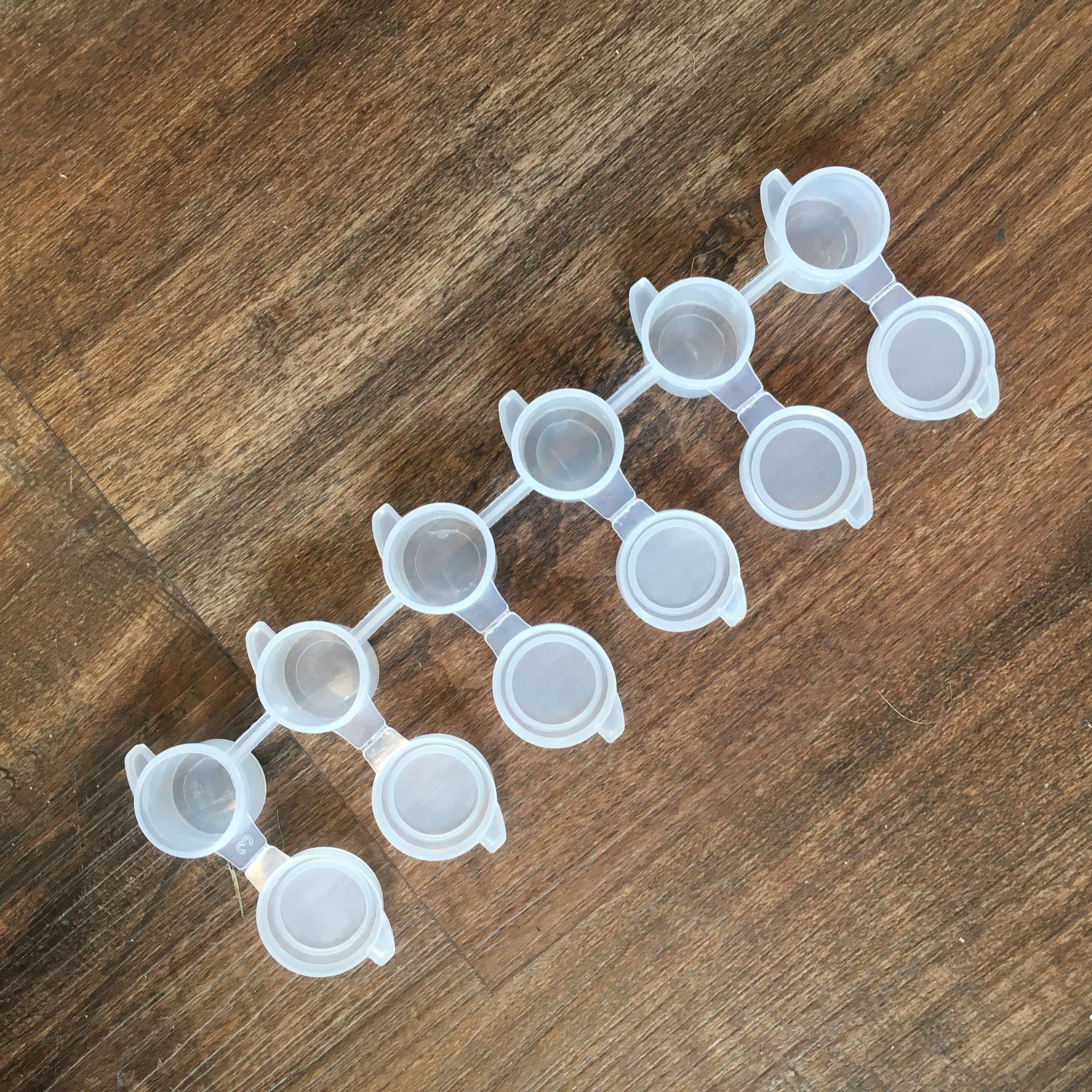 Professional Art  String of 6  Small Cups
