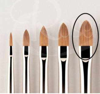 Rosemary Red Dot Pointed Filbert #6