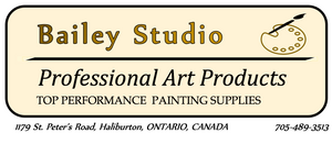 Professional Art Products