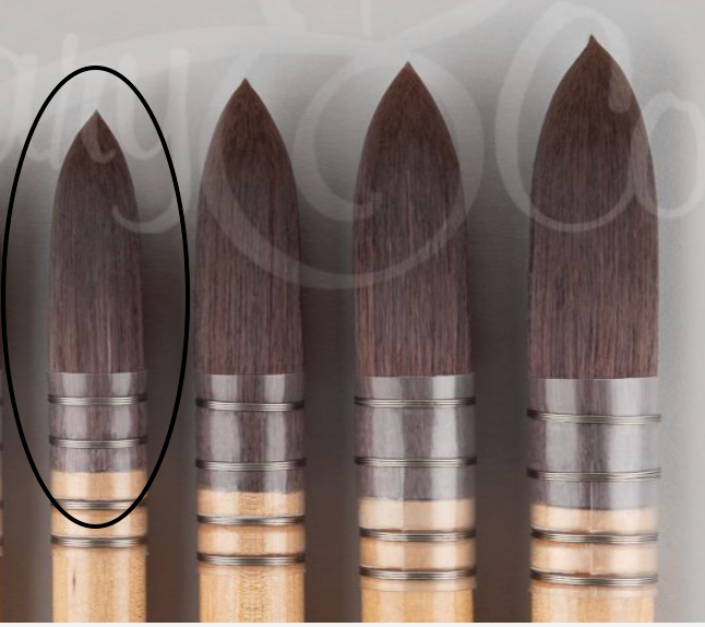 Rosemary Sienna Mop #4