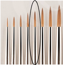 Rosemary & Co Brushes - Red Dot Red  Pointed Round